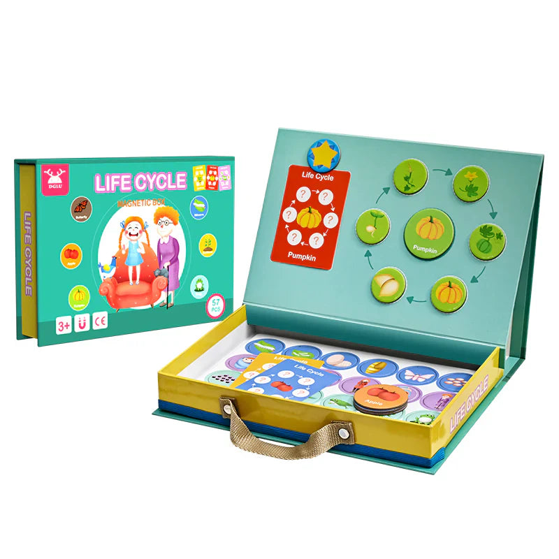 Lifecycle – Learn More About Life Cycles in a Fun Way! – Puzzle Box