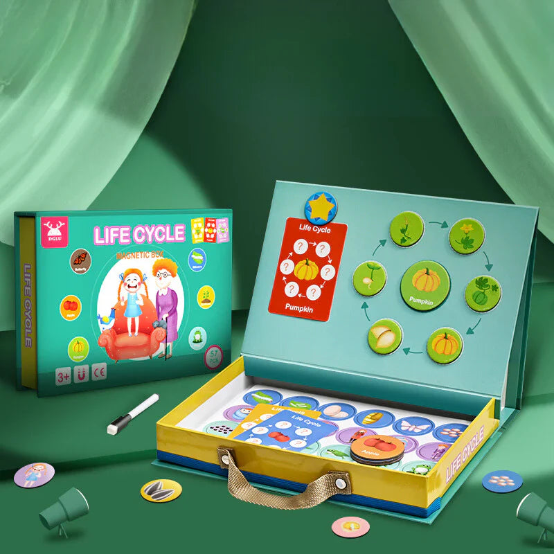 Lifecycle – Learn More About Life Cycles in a Fun Way! – Puzzle Box