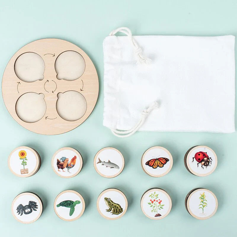 LifeSteps – Discover Life Cycles – Wooden Puzzle Set