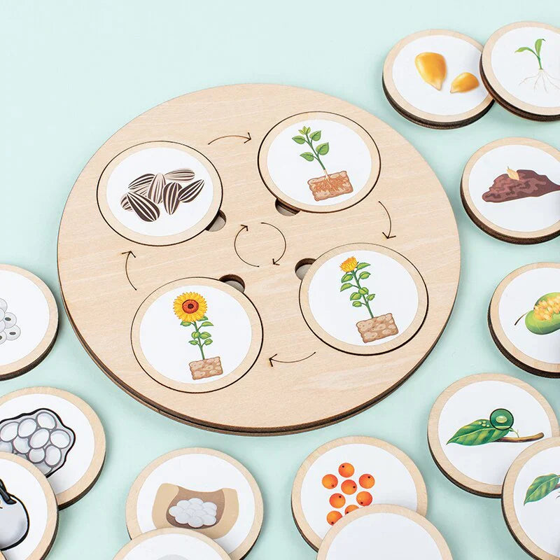 LifeSteps – Discover Life Cycles – Wooden Puzzle Set